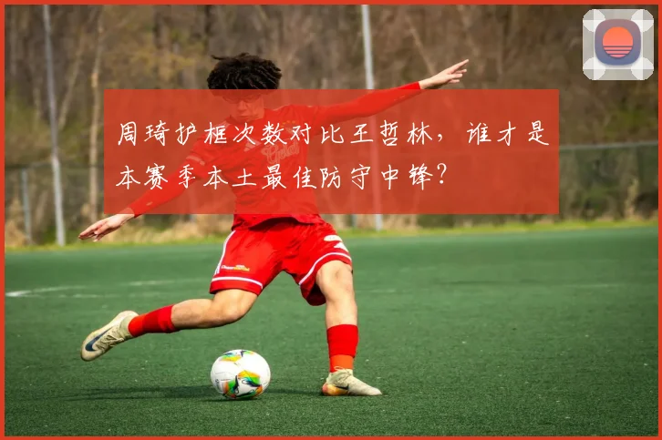 周琦护框次数对比王哲林，谁才是本赛季本土最佳防守中锋？